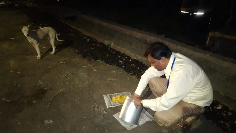 Dog Food Donation Drive