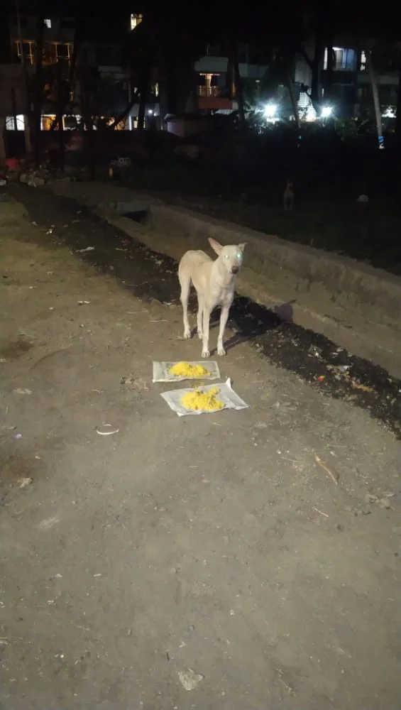 Dog Food Donation Drive